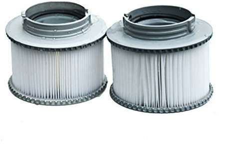 First4spares Lot de 2 Cartouches de Rechange de Filtre MSpa, Gris, Standard