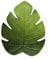 Excelsa Tropical Set 6 Tovagliette a Forma di Foglia, Cm. 48 x 38, Plastica EVA