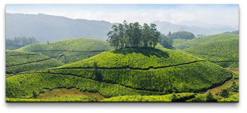 Paul Sinus Hintergrund Indien 100x40cm Wandbild auf Leinwand