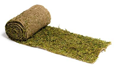 Chemin DE Table Mousse sur Jute 20 CM X