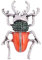 QQYDZSW Broschen Anstecknadeln for Damen, zierliche Strass-Insektenbrosche, Legierung, Spinne, Marienkäfer, Käfer, 3 x 4,5 cm
