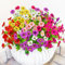 ROLLWAY 9 Bündel Kunstblumen für Draußen Künstliche Blumen wie Echt, Kunstblumen Balkon Pflanzen Künstlich Outdoor Balkonpflanzen Wetterfest Seidenblumen für Innen Außen Balkonkasten Außenbereich