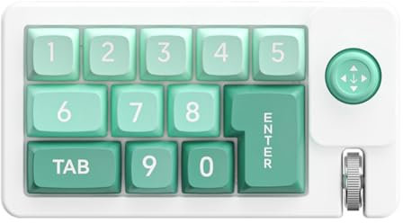 Pyugxab Tastiera Meccanica Digitale Tastiera RGB Hot-Swap Macro Tastiera da Gioco Meccanica Cablata Joystick Personalizzato Verde