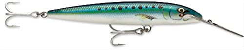 Rapala - Countdown Magnum Angelköder - Angelzubehör mit Abachiholz-Konstruktion - Salzwasser Spinnköder - Lauftiefe 4.5-5.4m - Fischköder 14cm, 36g - Hergestellt in Estland - Sardine
