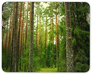Awesome Forest Mouse Mat Pad - Pine Trees Tree Forrest Wood Gift Computer #13079