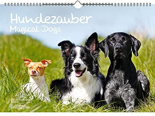 Hundezauber Große Hunde DIN A3 - Immerwährender Kalender Welpen und Hunde - Seelenzauber