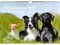 Hundezauber Große Hunde DIN A3 - Immerwährender Kalender Welpen und Hunde - Seelenzauber