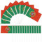 Lot de 20 mini drapeaux du Portugal - 14 x 21 cm - Bannière - Drapeaux nationaux de poche - Petits fanions sur bâtons pour événements sportifs, décorations de fête, coupe du monde de football