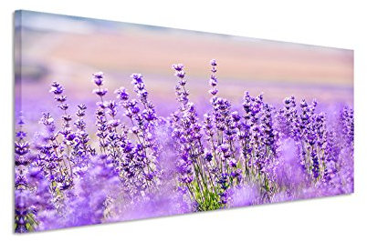 150x50cm Leinwandbild auf Keilrahmen Lavendel Blumen Wandbild auf Leinwand als Panorama