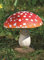 Fliegenpilz Deko Pilz Gartendeko Pilze Garten rot getupft H ca 17 cm 1812-2501000A