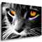 Julia-Art - Bilder Katze Leinwand mit Keilrahmen 100 x 70 cm Leinwandbild XXL Wandbild Tiere Kunstdrucke Tierwelten Bild Wanddesign Wanddekoration c-642v-208