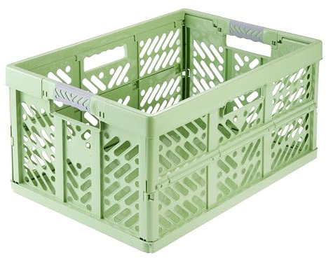 keeeper ben Stabile Profi-Klappbox mit Soft-Touch Griffen, 54 x 37 x 28 cm, 45 l, Eco Line, Grün (Eco Grass Green)