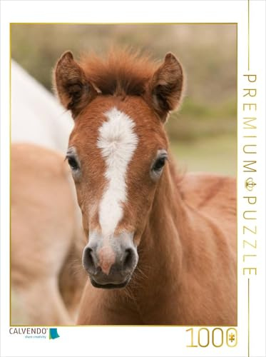 CALVENDO Puzzle Camargue Pferd Fohlen | 1000 Teile Lege-Größe 48 x 64 cm Foto-Puzzle für glückliche Stunden