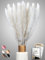 Pampasgras getrocknet 30 Stück - extra langlebige Trockenblumen - Deko Wohnzimmer , Schlafzimmer, Badezimmer , Vase Trockenblumenstrauß , Boho Deko (Weiß)