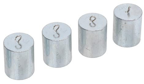 4-teiliges 200-g-Laborgewichtsset - Hochpräzises Kalibriergewichtsset aus Verchromtem Stahl, für Unterrichtsexperimente in der Heimschule, Schule zu Hause