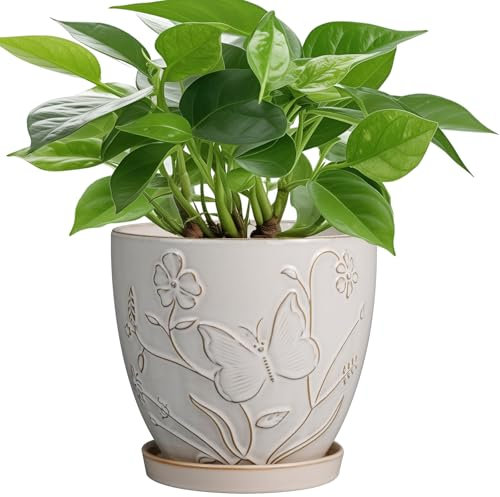 MPotTo 15,2 cm Keramik-Blumentopf für Zimmerpflanzen im Freien, runder Übertopf mit Ablaufloch und Untersetzer, für Zuhause, Garten, Büro, Dekoration, Weiß