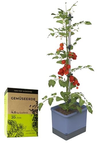 GUSTA GARDEN Tom Tomato Tomatentopf Blau - Pflanzentopf mit Rankhilfe, Bewässerungssystem & Befestigungshaken - Set inkl. 20L Erde - 4,5L Wassertank & 20L Erdvolumen (blau, mit Erde)