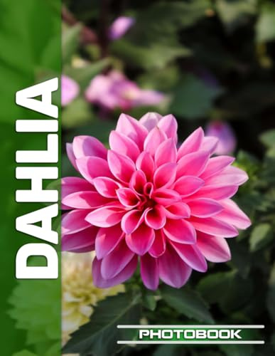 Dahlia Photo Book | Vibrant Dahlia Blooms Captured In Stunning Floral Portrait Photography