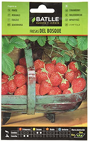 Semillas Batlle Fresas de Bosque