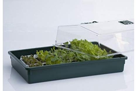 Weedness Gewächshaus Mittel 59 x 39 x 24 cm - Grow Anbau Indoor & Outdoor Tomaten Anzucht Mini Zimmer Stecklinge Zubehör Balkon Frühbeet Drinnen Garten Pflanzen
