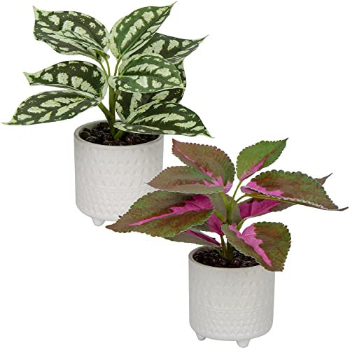 2er Set Kunstpflanze Deko Kunstpflanze klein Pflanzen im Keramiktopf Kunstpflanze Dekoration Modern für Home Office Badezimmer Küche und Innendekoration