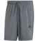 adidas Herren AEROREADY Essentials Chelsea 3-Stripes Shorts, DGH solid Grey, L