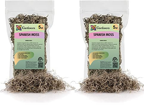 Hochwertiges natürliches spanisches Moos, natürlich konserviert, 10 Quart – tolle Bodendecker – Füllstoff für Topfpflanzen (2 Beutel à 5 Quart)