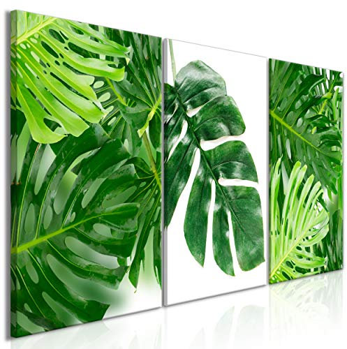 decomonkey Bilder Blätter Natur 60x30 cm 3 Teilig Wandbild Groß Leinwandbild XXL Deko Wohnzimmer Schlafzimmer Büro Wanddeko Leinwand Pictures For Wall Poster Wall Painting Pflanzen Monstera