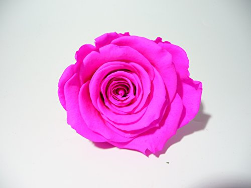 ROSE ETERNELLE ROSE POUR LA REALISATION DE DECORATION FLORALE DURABLE, A ASSOCIER AVEC DU SABLE COLORE ET UN PETIT VASE OU AUTRE SELON VOTRE IMAGINATION.