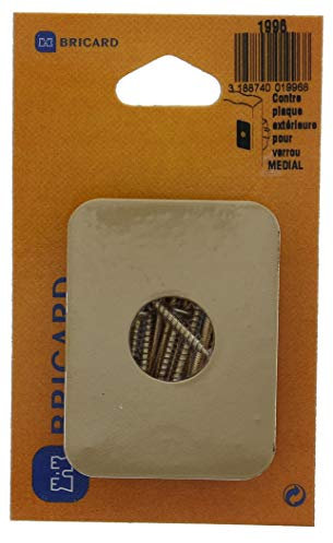 Bricard 1996 Contreplaque pour verrou médial Doré