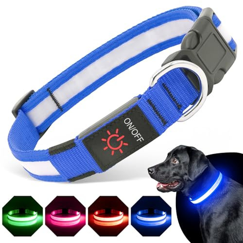 BiPawTi Leuchthalsband Hund Kleine, Wiederaufladbares LED Welpenhalsband mit 3 Beleuchtungsmodi, Super Helle Leuchtendes Halsband, Hunde Leuchthalsband Sicherheit für Ihren Hund in der Nacht - Blau, S