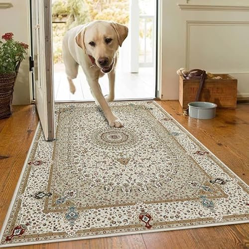 AMEHA Door Mat Indoor 80 x 150 cm Vintage Entrance Floor Mats Non Slip Washable Doormats Outside Dirt Trapper Heavy Duty Doormat Low Profile Super Soft Front Door Mat (Willow Beige)
