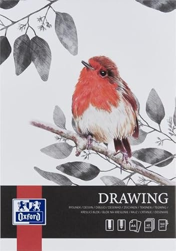 Oxford Art Zeichenblock, säurefreies, recycelbares Papier (Zeichenblock A4 40 Blatt 160g/m², 2)