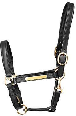 Battles Hy Leder Halfter - Schwarz, Pony