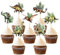 Blumomon 28 Stück Dinosaurier Cupcake Topper Tier Cupcake Topper Picks Kuchendekoration für Baby Shower Hochzeit Geburtstag Event Party Tiere Thema Party Dekoration