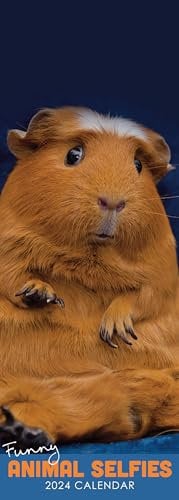 2024 Animal Selfies Wandkalender zum Aufhängen, schmal, ohne Plastik, lustig, humorvoll, Planer, Organizer, Zuhause, Familie, Terminplaner, Agenda, Geschenk