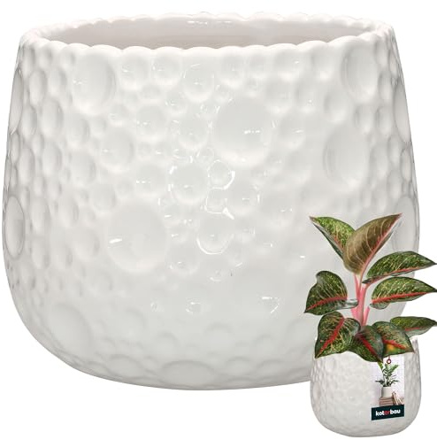 KOTARBAU® Vaso da fiori in ceramica, rotondo, diametro 14,5 cm, altezza: 15 cm, bianco, vaso in ceramica, per piante da appartamento, moderno, piccolo vaso per piante in ceramica