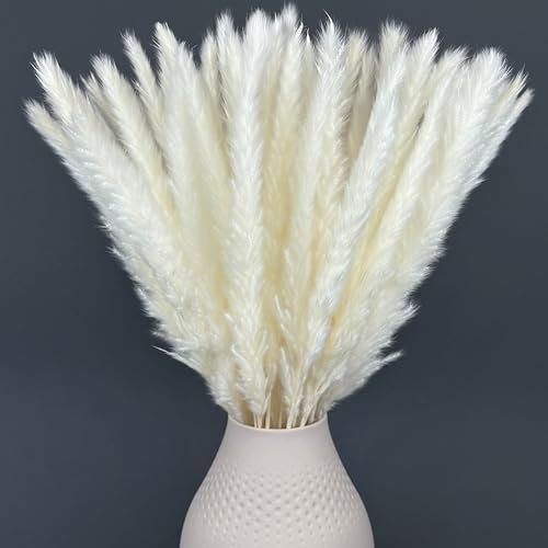 Pampasgras Weiß Groß und Klein | Trockenblumen Deko Weiss getrockent für Wohnzimmer & Flur | Boho Trockenblumenstrauß | Getrocknete Gräser, Kunstblumen & Pampas für Vase | Aesthetic Weiße Deko