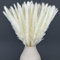 Pampasgras Weiß Groß und Klein | Trockenblumen Deko Weiss getrockent für Wohnzimmer & Flur | Boho Trockenblumenstrauß | Getrocknete Gräser, Kunstblumen & Pampas für Vase | Aesthetic Weiße Deko