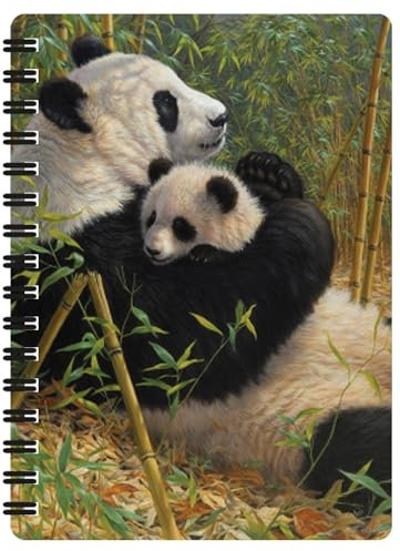3D LiveLife Jotter - Neue Dynastie von Deluxebase. Linsenförmiges 3D Panda A6 Spiralblock. Ein liniertes Notizbuch mit Kunstwerken, die von der bekannten Künstlerin Beth Hoselton lizenziert wurden