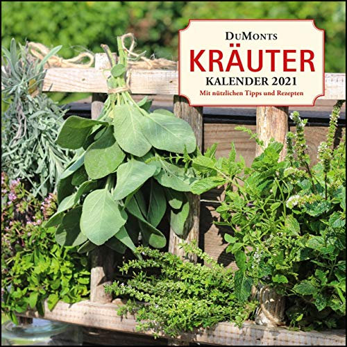 DuMonts Kräuter-Kalender 2021 ‒ Broschürenkalender ‒ mit Texten und Rezepten ‒ Format 30 x 30 cm: Broschürenkalender - mit nützlichen Tipps und Rezepten