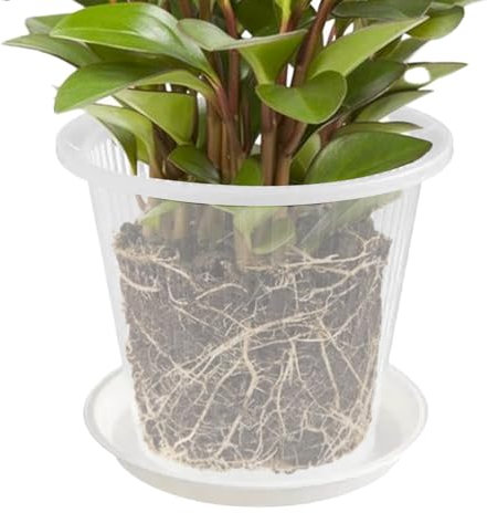 Töpfe für Pflanzen - Transparenter Orchideenbehälter, dekorativer Pflanzer, Sukkulentenhalter | Belüfteter Blütentopf mit Tropfschale, praktische Gartenarbeit für Rosen, Stiefmütterchen, Kaktus, Innen