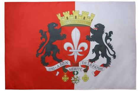 AZ FLAG - Drapeau Lille avec armes - 150x90 cm - Drapeau Lillois Avec Armoiries 100% Polyester Avec Fourreau et cordelette - Pavillon 110 g