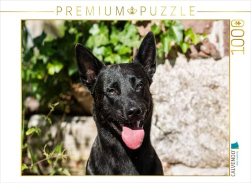 CALVENDO Puzzle EIN Motiv aus dem Kalender ausdrucksvolle Holländische Schäferhunde 1000 Teile Puzzle quer | Lege-Größe cm Foto-Puzzle für glückliche Stunden