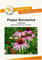 Blumensamen Purpur-Sonnenhut Rudbeckie Portion