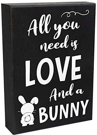 JennyGems Wooden Sign All You Need Is Love... And A Bunny