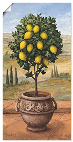 ARTland Wanddeko Poster & Kunstdrucke Wandposter 30x60 cm Toskana Zitrone Baum Italien Landschaft Mediterran Botanik Terracotta T4MN