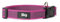 JULIUS K-9 225CG-PN Color & Gray Halsband, 25mm*39-65 cm, verstellbar, rosa-grau, 25 mm (39-65 cm)
