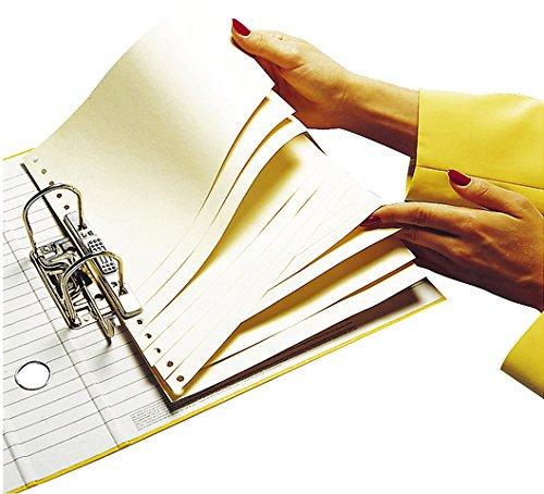 Trennblatt, schräg, Kraftk.(RC), A4, chamois