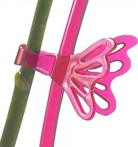 SK 2-Piezas Clip Orquídea Fleury Zarzamora